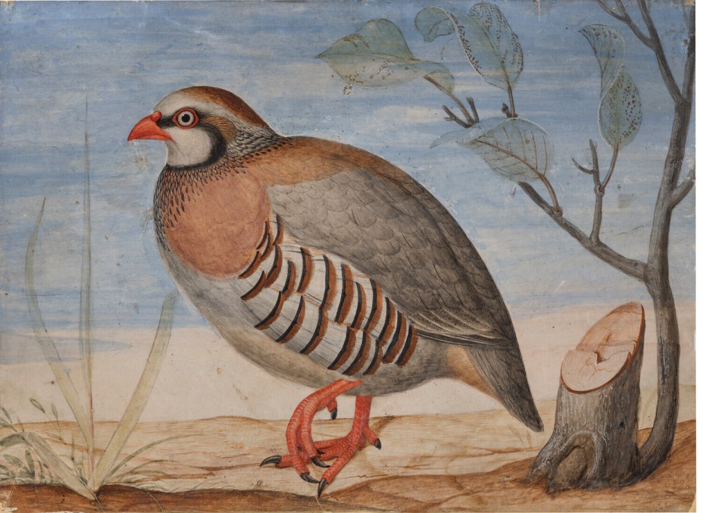 Carlo Battaglia (1600 - 1644) - photo 1